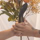 Vibrator Giveaway | Bellesa Boutique